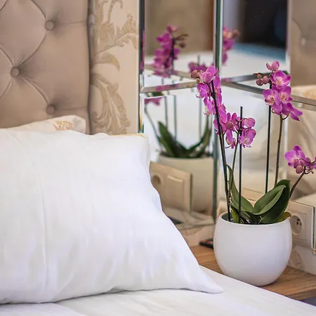 Moris Boutique Hotel 2*